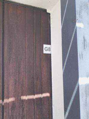 WhatsApp Image 2025-06-30 at 13.47.13.jpeg