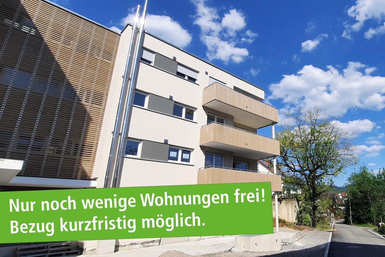 Oppenweiler_Klinker_wenig_frei.jpg