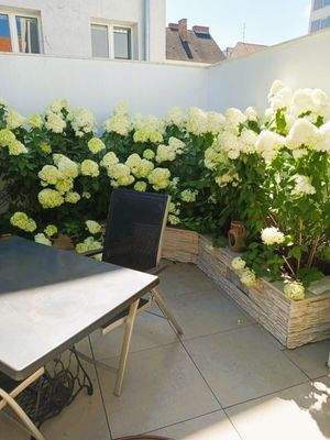 Hortensienecke Dachterrasse