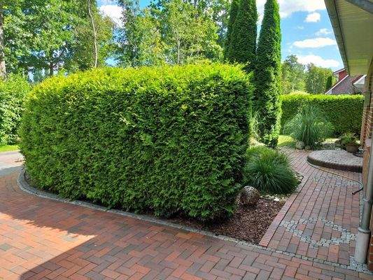 gespflasterte Zuwegung zur Eingangtür