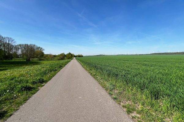 Fahrradweg nach Udestedt