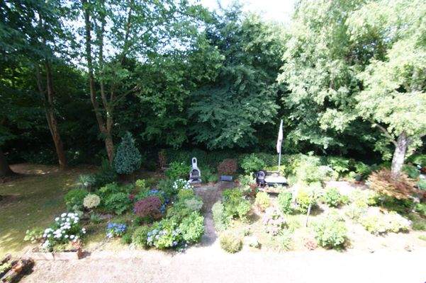 Blick in den Garten