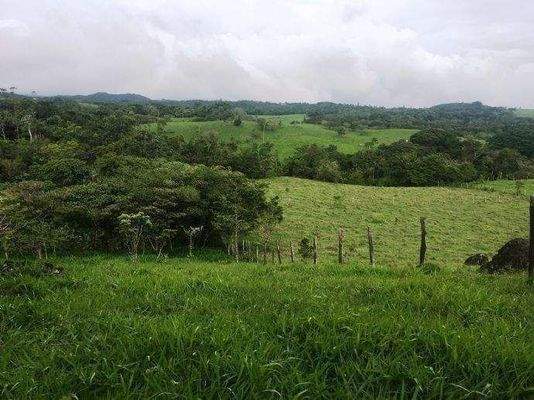 ImmoScout360 Fernblick