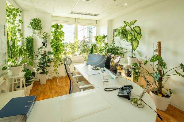 Innenansicht Beispiel 11