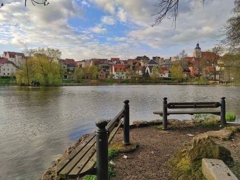 Ronneburg Häuser, Ronneburg Haus mieten 