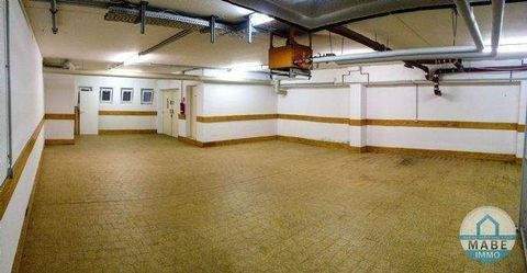 Dresden Halle, Dresden Hallenfläche