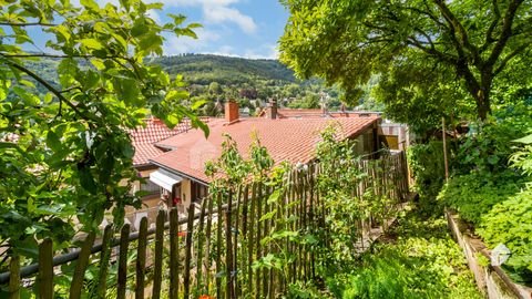 Heidelberg Häuser, Heidelberg Haus kaufen