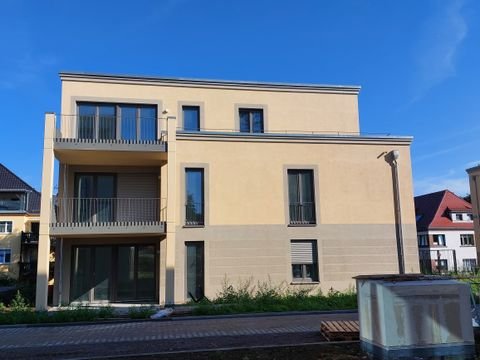Dresden Wohnungen, Dresden Wohnung mieten
