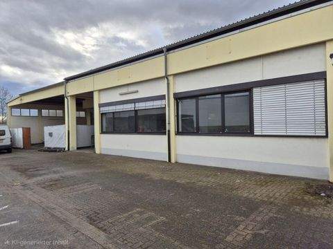 Rheinfelden / Nollingen Halle, Rheinfelden / Nollingen Hallenfläche