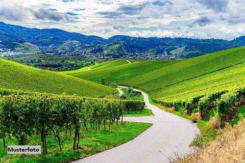 Wunsiedel Bauernhöfe, Landwirtschaft, Wunsiedel Forstwirtschaft