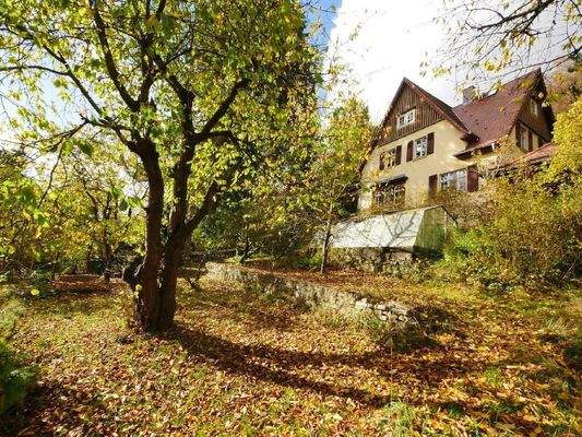  GARTENTERRASSEN / KIRSCHBAUM