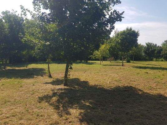 Dunaúj hird kép 11.jpg