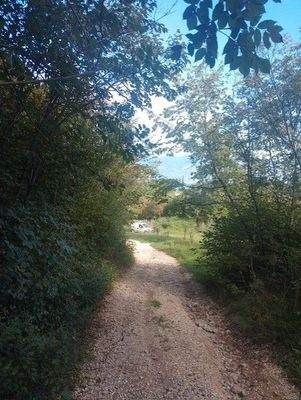 Foto  ufficio  per  internet.JPG