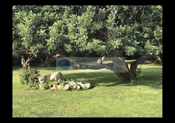 Villa Hersonisos (20)