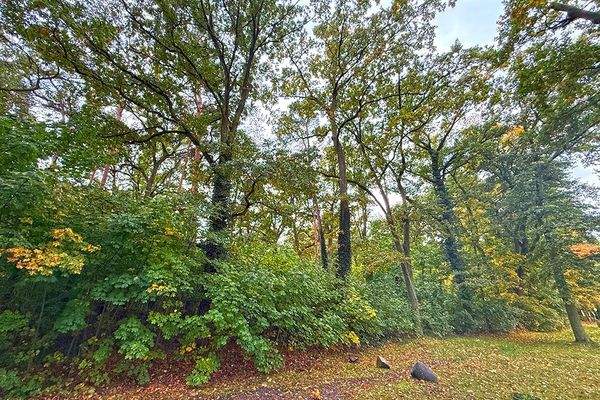 Blick aufs Grundstück