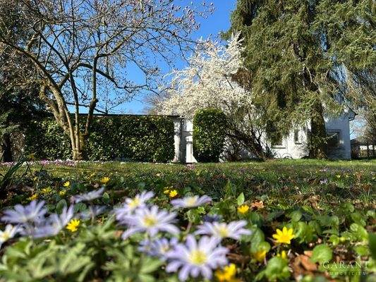 1-Fruehlingserwachen