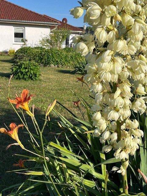 Groß Stieten Häuser, Groß Stieten Haus kaufen