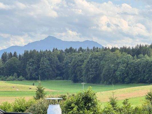 WhatsApp Bild 2025-07-31 um 12.17.23_93b1844c.jpg