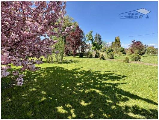 Weitläufiges Grundstück