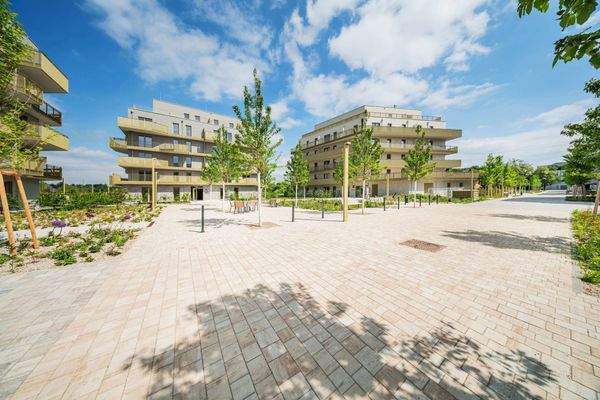 DSC02618-HDR copy_low