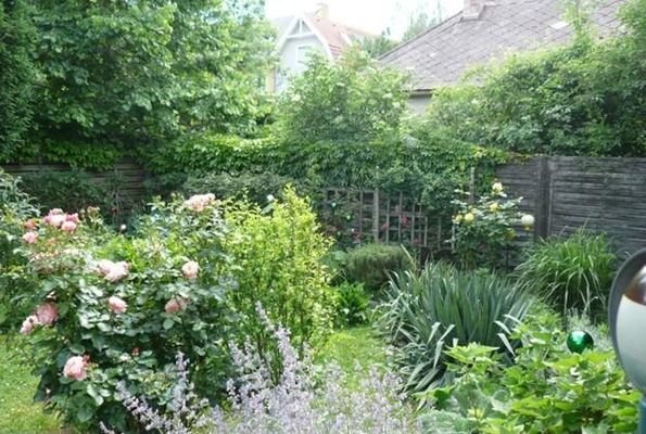 Top_3_Garten