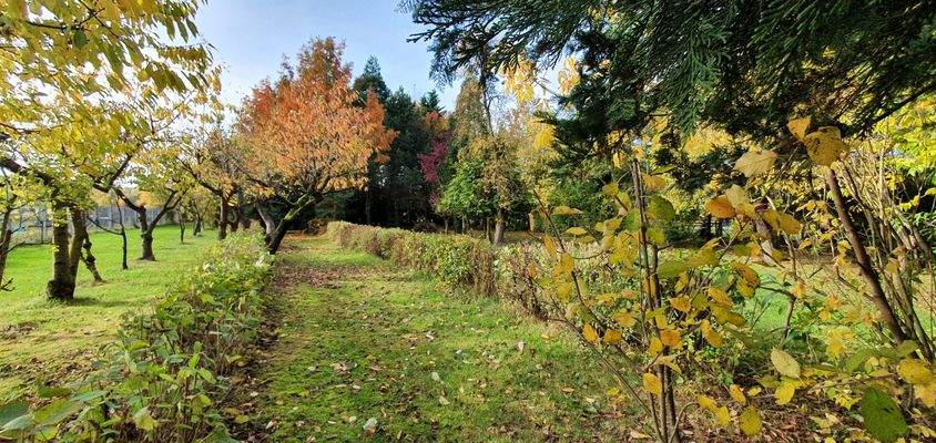 Ansichten - Grundstück - Wald 