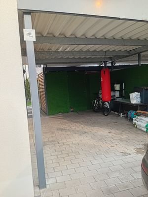 20250210_110549.jpg
