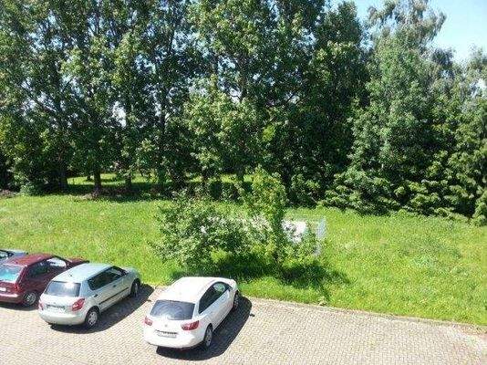 Stellplatz und Gartenfläche