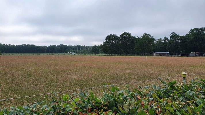Ausblick Richtung Stadtpark
