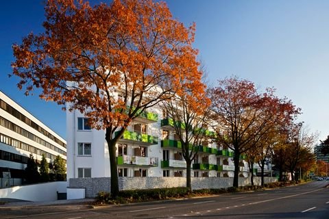 Bonn Wohnungen, Bonn Wohnung kaufen