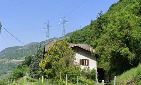 Bozen Renditeobjekte, Mehrfamilienhäuser, Geschäftshäuser, Kapitalanlage