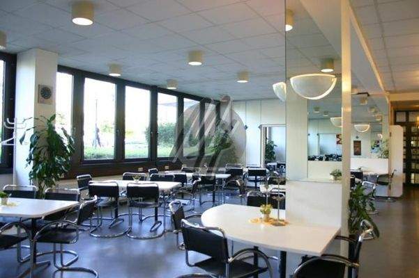 INFOS UNTER: 06171-586000 