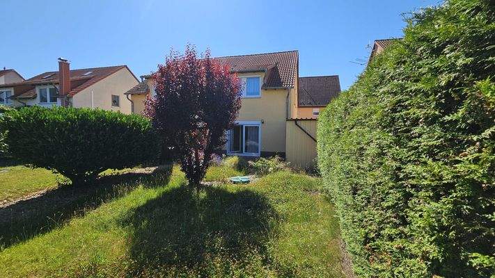 Blick aus dem Garten