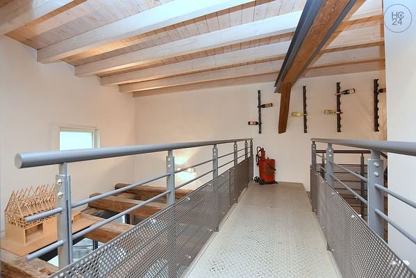 Bild19