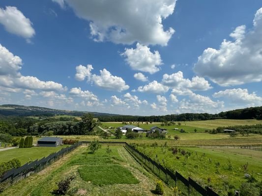 garten und sicht.jpg