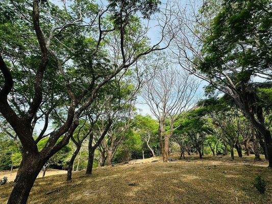 Pachtgrundstück auf Nachfrage (9).JPG