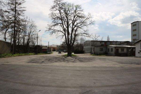 Blick auf Grundstückseinfahrt