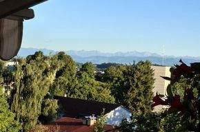 ... trotz Stadt-Nähe, grüne Blicke ...