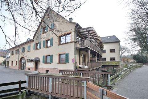 Weingarten Wohnungen, Weingarten Wohnung kaufen