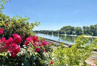 KI-generiert: Idylle an der Donau!