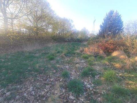 Münster Grundstücke, Münster Grundstück kaufen