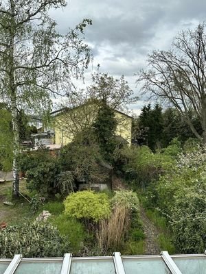 Blick in den Garten
