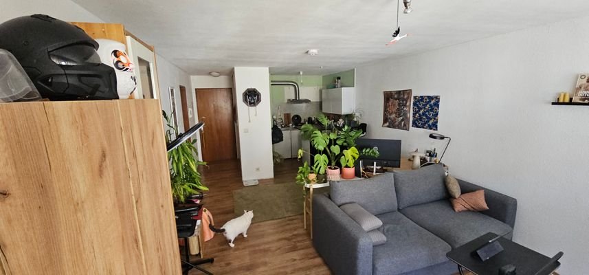Wohnraum mit Küchenansicht