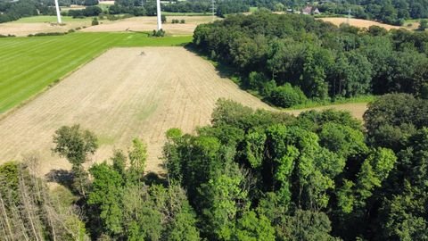 Tecklenburg Bauernhöfe, Landwirtschaft, Tecklenburg Forstwirtschaft