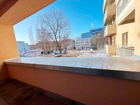 Dresden Wohnungen, Dresden Wohnung kaufen