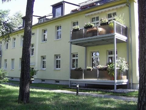 Dessau-Roßlau Wohnungen, Dessau-Roßlau Wohnung kaufen