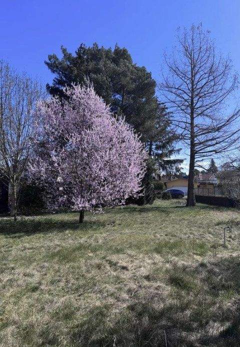 Oranienburg Häuser, Oranienburg Haus kaufen