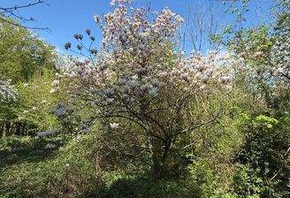 Grundstück Eselstiege