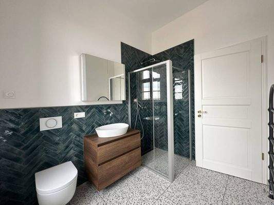 Bad mit Dusche und Badmöbeln sowie Spiegelschrank