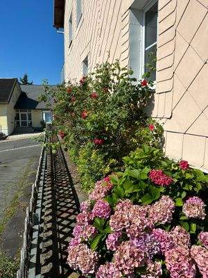 WhatsApp Bild 2025-07-06 um 18.59.09_89eb3205.jpg